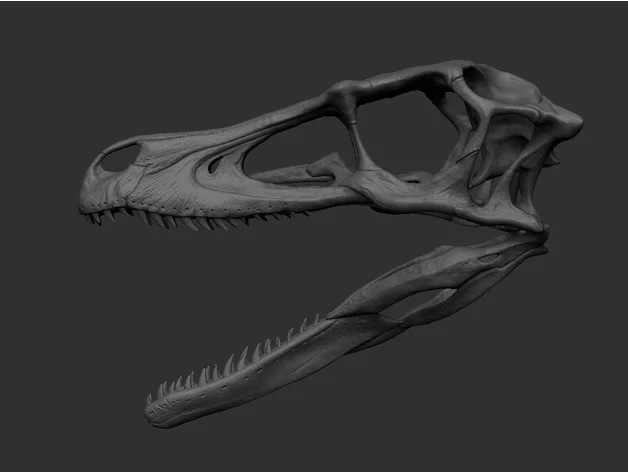 Fang Skull - Mô hình đầu rồng Animatronic in 3D - Image 35