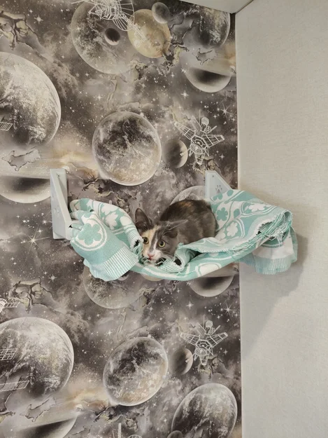 Võng cho mèo - Mô hình in 3D thử nghiệm - Image 4