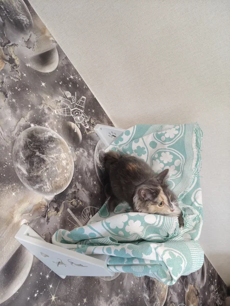 Võng cho mèo - Mô hình in 3D thử nghiệm - Image 5