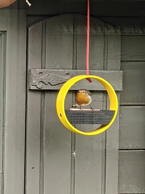 Khay Cho Chim Ăn 3D - Thiết Kế Treo Tường Tiện Lợi Và Dễ Vệ Sinh - Image 1