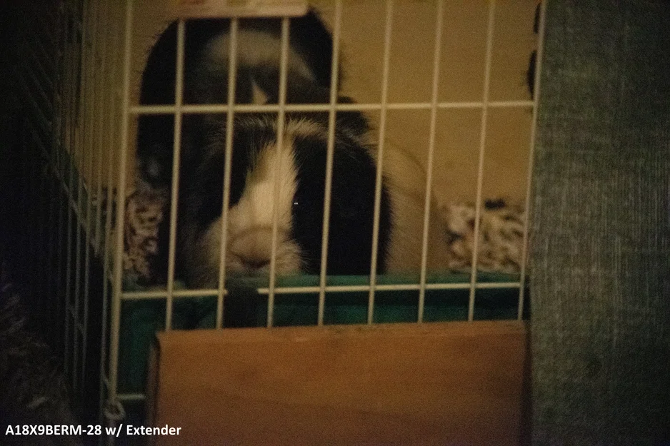 B4TF - Ngàm chuyển ống kính B4 sang máy ảnh Nikon F - Image 10