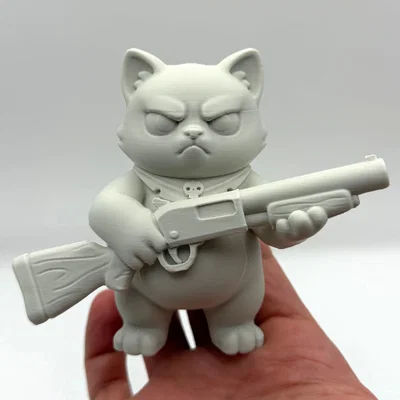 Chú Mèo Shotgun (Shotgun Cat)
