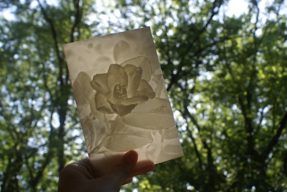 Mô hình hoa Trà (Camellia) - "Hơn cả một bức tranh Lithophane" - Image 1