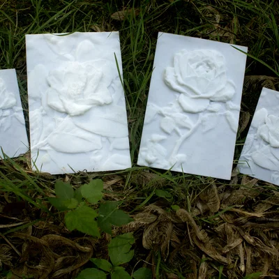 Mô hình hoa Trà (Camellia) - "Hơn cả một bức tranh Lithophane"