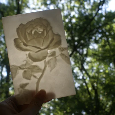 Hoa hồng "More-Than-a-Lithophane"