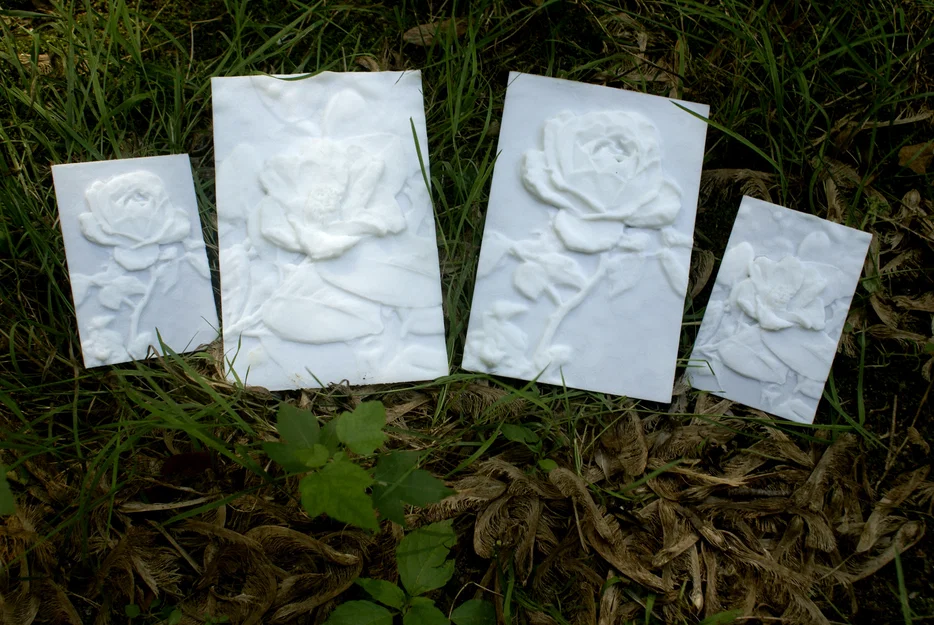 Hoa hồng "More-Than-a-Lithophane" - Image 2