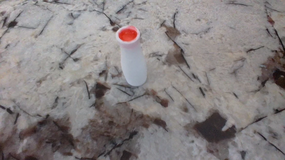 Mẫu bình hoa mini in 3D: Hướng dẫn trang trí bằng màu sắc - Image 1