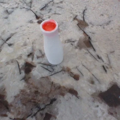 Mẫu bình hoa mini in 3D: Hướng dẫn trang trí bằng màu sắc