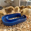 Máng nước cho gà con - Thumbnail 1
