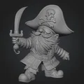 Mô hình Pirate Gnome (Chú lùn hải tặc) độc đáo để in 3D - Thumbnail 1