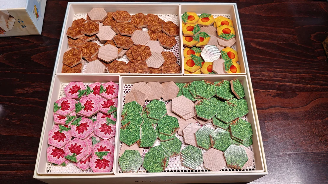 Bonsai kèm khay mở rộng Wabi Sabi - Image 3