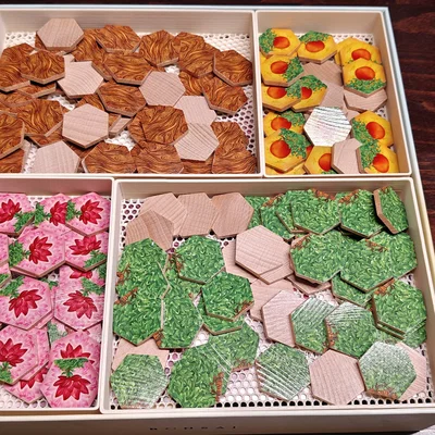 Bonsai kèm khay mở rộng Wabi Sabi