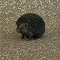 Mô hình chú nhím đáng yêu (Cute Hedgehog) - Thumbnail 2
