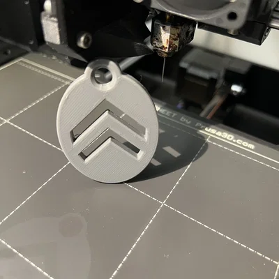 Móc khóa logo Citroen in 3D - Phụ kiện cá tính cho người yêu xe