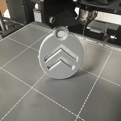 Móc khóa logo Citroen in 3D - Phụ kiện cá tính cho người yêu xe