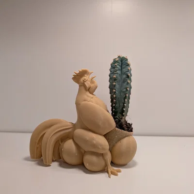 Chậu cây Cocktus - Chậu trồng xương rồng hình chú gà trống