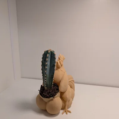 Chậu cây Cocktus - Chậu trồng xương rồng hình chú gà trống