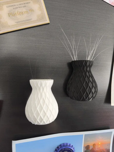 Bình đựng râu mèo Schnurhaar Vase - Image 1