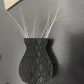 Bình đựng râu mèo Schnurhaar Vase - Thumbnail 2