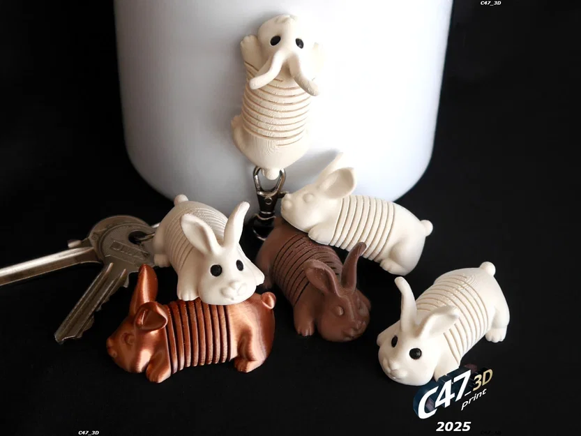 Springy Bunny - Chú thỏ lò xo linh hoạt - Image 1