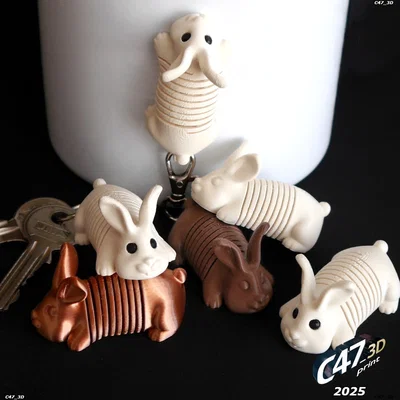 Springy Bunny - Chú thỏ lò xo linh hoạt