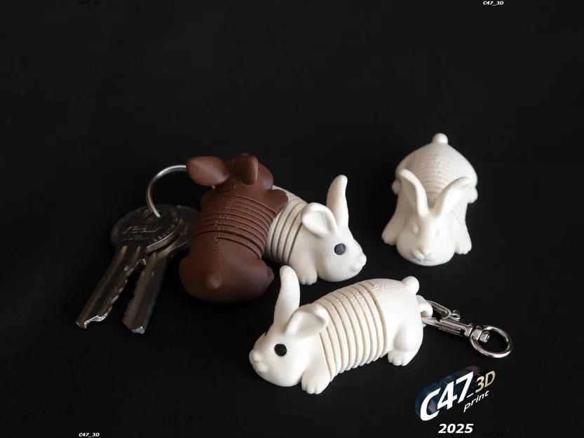 Springy Bunny - Chú thỏ lò xo linh hoạt - Image 2