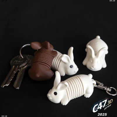 Springy Bunny - Chú thỏ lò xo linh hoạt