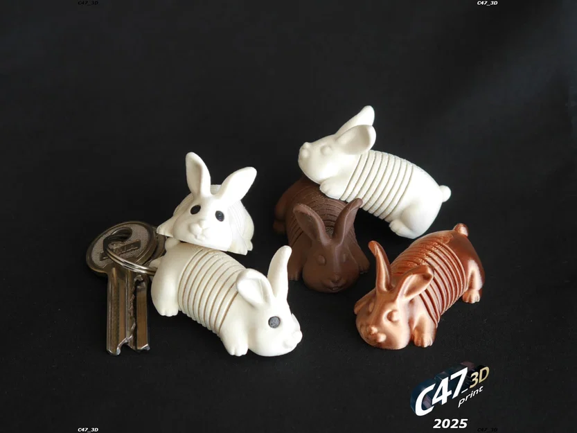 Springy Bunny - Chú thỏ lò xo linh hoạt - Image 3