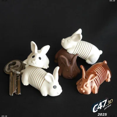 Springy Bunny - Chú thỏ lò xo linh hoạt