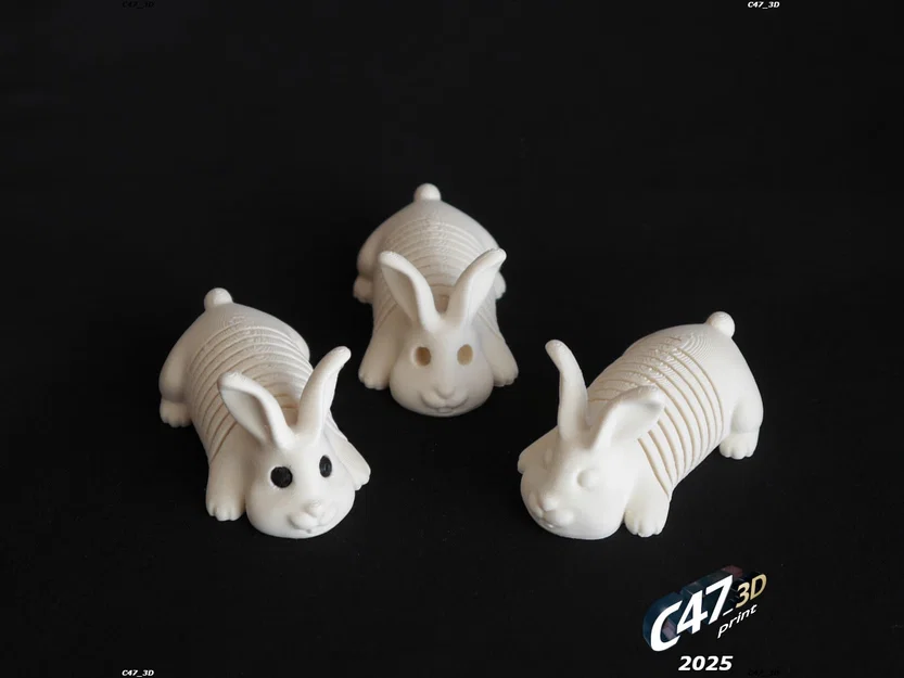 Springy Bunny - Chú thỏ lò xo linh hoạt - Image 4