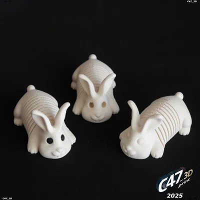 Springy Bunny - Chú thỏ lò xo linh hoạt