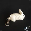 Springy Bunny - Chú thỏ lò xo linh hoạt - Thumbnail 6