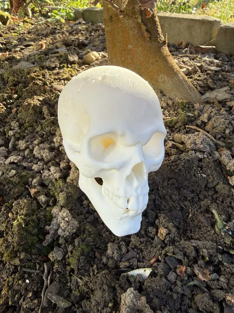 Mô hình Đầu lâu Goblin, Orc - Image 1