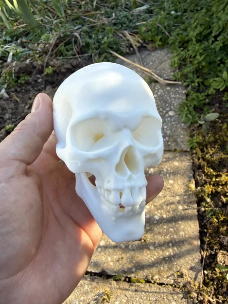 Mô hình Đầu lâu Goblin, Orc - Image 2