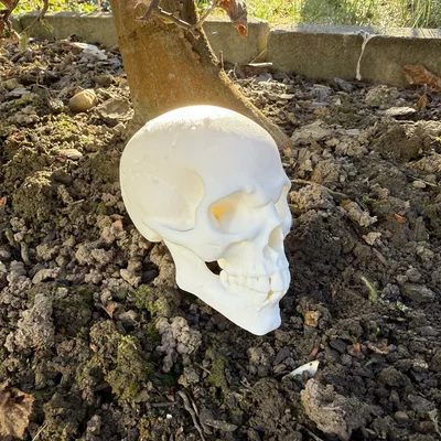 Mô hình Đầu lâu Goblin, Orc
