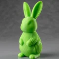 Chú Thỏ Vân Sọc Dễ Thương – Mô Hình Bunny (In Dễ Dàng, Không Cần Support) - Thumbnail 1