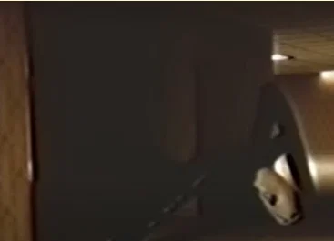 Mô hình 3D Aranea Membri (Entity 62) The Backrooms cực chất - Image 1