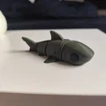 Mô hình Cá mập Robot Flexi (Flexi Robo Shark) - Thumbnail 3
