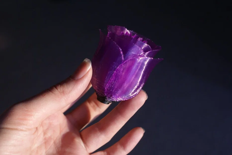 Rosa - 2026 - Image 3