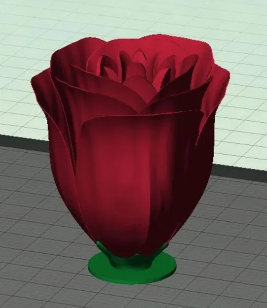 Rosa - 2026 - Image 4