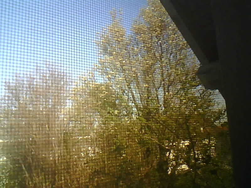 Obscura One – Máy ảnh hoài cổ mã nguồn mở - Image 5