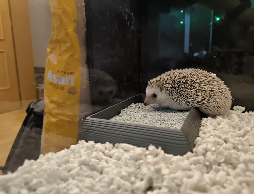 Hộp Cát Tắm & Vệ Sinh Góc Cho Nhím Kiểng - Image 3