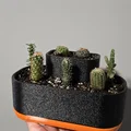 Chậu trồng cây 3D đa năng kèm khay hứng nước tiện lợi - Thumbnail 1