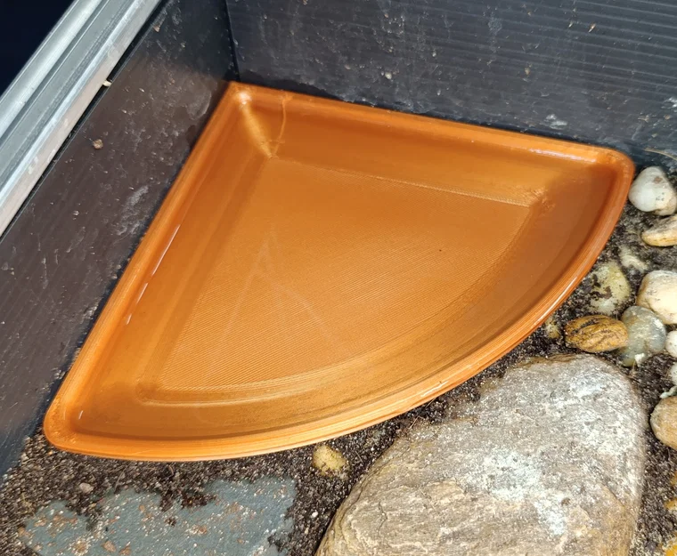 Bát góc cho terrarium (Terrarium corner bowl) - Image 1