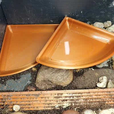 Bát góc cho terrarium (Terrarium corner bowl)