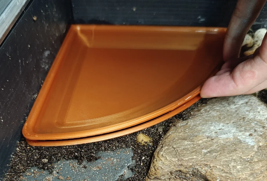 Bát góc cho terrarium (Terrarium corner bowl) - Image 3