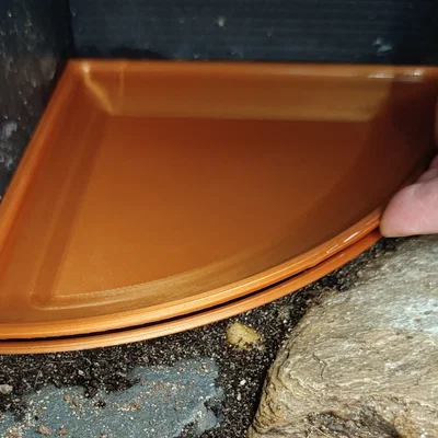 Bát góc cho terrarium (Terrarium corner bowl)