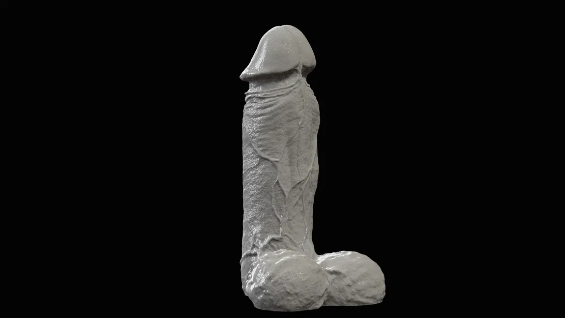 Mô hình dương vật (Penis) - Image 2