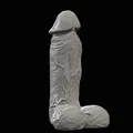 Mô hình dương vật (Penis) - Thumbnail 2