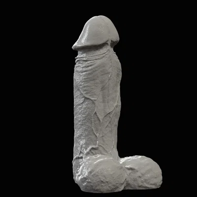 Mô hình dương vật (Penis)